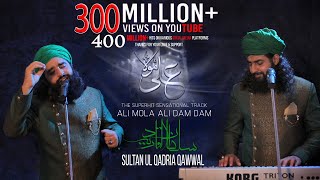 ALI MOLA ALI DAM DAM  Official Full Track  Remix  2019  Sultan Ul Qadria Qawwal [upl. by Trilbie875]