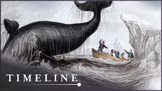 The Untold Story Of Antarcticas Whaling Industry  Whale Hunters  Timeline [upl. by Baggott744]