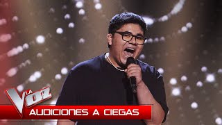 Alan Brizuela canta quotA song for youquot  Audiciones a Ciegas  La Voz Antena 3 2024 [upl. by Procter]