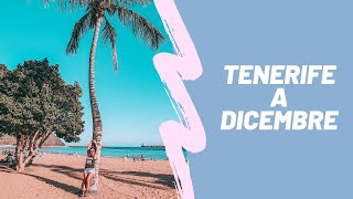 Vacanza a Tenerife inverno Canarie [upl. by Kcirdaed]