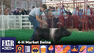 4H Market Swine – Fair 2023 [upl. by Eninnej438]