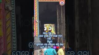 Pakhi sina udijane akashara dhunaku odiashayri jayjagannath odiasong shrots [upl. by Hoffarth]