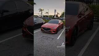 What does a Genesis G70 Evolve into [upl. by Llednav]