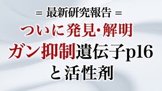 ついに発見・解明 ガン抑制遺伝子p16と活性剤 [upl. by Ialokin]