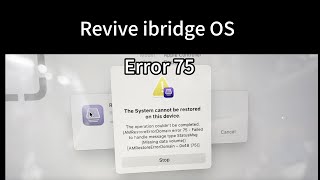 Revive iBridge OS failed with error 75  Macbook Pro [upl. by Tillio]