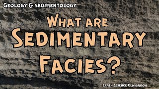 What Are Sedimentary Facies [upl. by Consolata718]