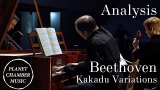 Analysis Beethoven Piano Trio Op 121a «Kakadu Variations» [upl. by Nuahsel537]