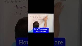 Learning about Vectors [upl. by Hazem]