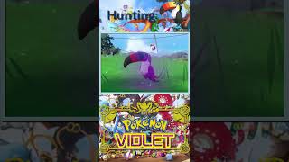 Pokemon Violet Shiny 0733 Toucannon [upl. by Jared]