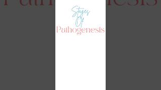 Stages Of Pathogenesis 🦠pathology pathogenesis nursingstudent biology medical hospital [upl. by Fita46]