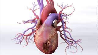 What is Coronary Artery Disease  Mechanism of Disease [upl. by Prent]