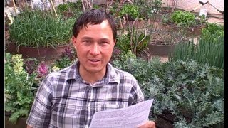 Can I Compost Oranges and Other Citrus Fruits amp More Organic Gardening QampA [upl. by Yun]