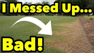 How To Repair Round Up Damaged Grass in A Lawn And Make It Green Again [upl. by Westley]