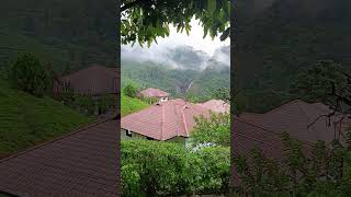 Munnar Hill station aranyakaresortsmunnar9230  Kerala Tourist place trendingshorts viralshort [upl. by Queena]