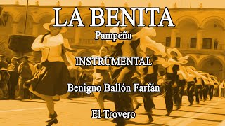 LA BENITA  INSTRUMENTAL  PAMPEÑA [upl. by Eendyc]