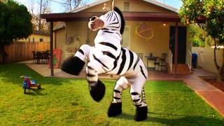 Dope Zebra  Rhett amp Link Official Original Video [upl. by Arait]