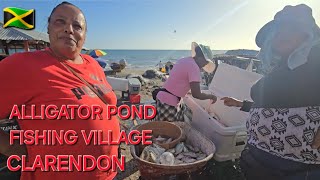 FISHING VILLAGE ALLIGATOR POND MANCHESTER SOUTH COAST JAMAICA [upl. by Persons758]