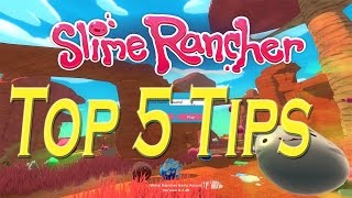 Top 5 Slime Rancher Tips [upl. by Colpin]