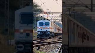 Wap7 with 12465 rantbambore express shorts [upl. by Catarina850]