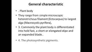 1 Phaeophyceae Brown algae An introduction amp characteristics [upl. by Picardi]