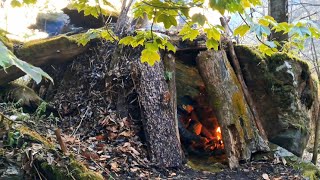 Rain Camping in Forest Building Bushcraft Survival Shelter [upl. by Constanta]