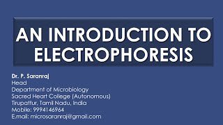 An Introduction to Electrophoresis [upl. by Chladek523]