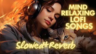 Mind 💕 Relaxing Lofi Mashup  MOOD FRESH LOFI 💕 SONGS  slowedandreverb hindisongslofimix dj [upl. by Celia206]