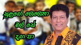 සුළගේ ලෙළෙනා මල් සේ දඟ පා Sulage Lelena Mala Se Daga Pa sihinayasoya sinhalasongs [upl. by Hoag]