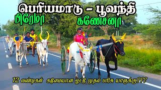 2பெரியமாடு பூவந்தி பந்தயம் 06012024 [upl. by Bowden]