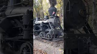 The Durbin Rocket CASS Scenic Rail Road Heisler 6 Durbin amp Greenbrier Valley RailRoad Steam Engine [upl. by Ervin]