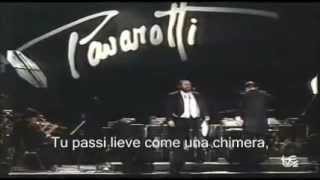 Luciano Pavarotti  La Mia Canzone al Vento Lyrics  FIFA Concert  1990 [upl. by Name]