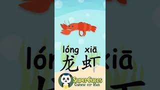 学中文 龙虾  Learn Chinese  LOBSTER  Aprender Chino  LANGOSTA Shorts [upl. by Lebazi145]