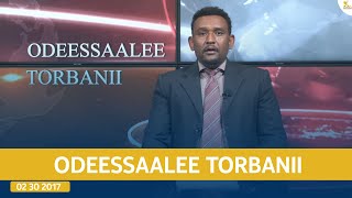 Ethiopia  Esat Odeessalee Torbanii 10 November 2024 [upl. by Rae]