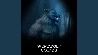 Werewolf Sounds [upl. by Dorlisa]