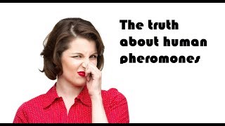 The truth about human pheromones [upl. by Enylecoj]