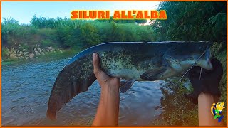 UN ALBA ricca di CATTURE PESCA a SPINNING al SILURO7 attacchi in diretta [upl. by Ahseenal495]