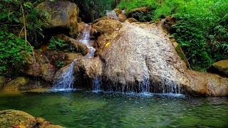 Soothing Headache Migraine Pain and Anxiety Relief  Gentle Waterfall Open Heart Music [upl. by Adallard]