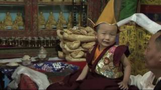 Enthronement Ceremony of Trulku Tenzin Nima [upl. by Lauralee220]