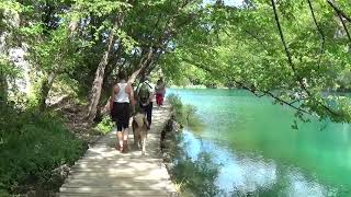 Plitvice Alsó Tavak  Lower Lakes Croatia 2017 [upl. by Ajdan770]