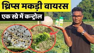 मिर्च बैगन में थ्रिप्स मकड़ी वायरस एक स्प्रे में कंट्रोल । Virus G amp Miticide  Aphids Thrips Mite [upl. by Taro]