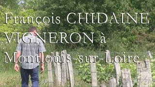 Vins de Loire  François Chidaine ou la renaissance de MontlouissurLoire [upl. by Ikcir]