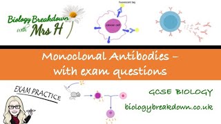 Monoclonal Antibodies with Exam Questions [upl. by Krisha376]