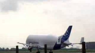 Takeoff of an Airbus A300600ST Beluga [upl. by Settle]