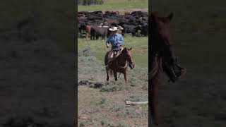 Stockmanship is key guys Learn more at httpsmembers310ranchlifecom ranchlife [upl. by Nassah]