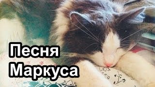 Песня Маркуса [upl. by Angle]