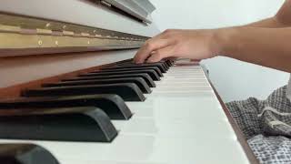 Liszt Transcendental Etude No12 ChasseNeige Snowstorm [upl. by Erreip]