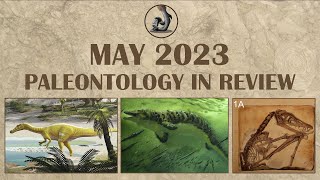 May 2023 Paleontology Review [upl. by Littell727]