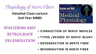 Nerve Injury Degeneration and Regeneration in Nerve fibers  Wallerian  Retrograde [upl. by Leander]