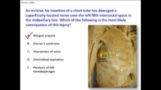 Which nerve is injured by an incision for insertion of a chest tube [upl. by Kiah]