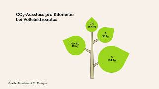 Elektroautos in der Schweiz [upl. by Gitlow987]